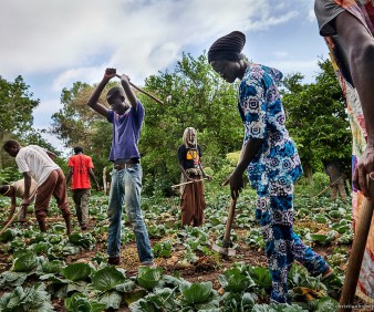 Senegal farmers